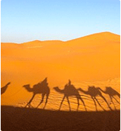 物聯卡應用，物聯網卡、物聯卡用于在線監控系統