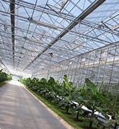 物聯卡應用，物聯網卡、物聯卡用于遠程大鵬監控系統