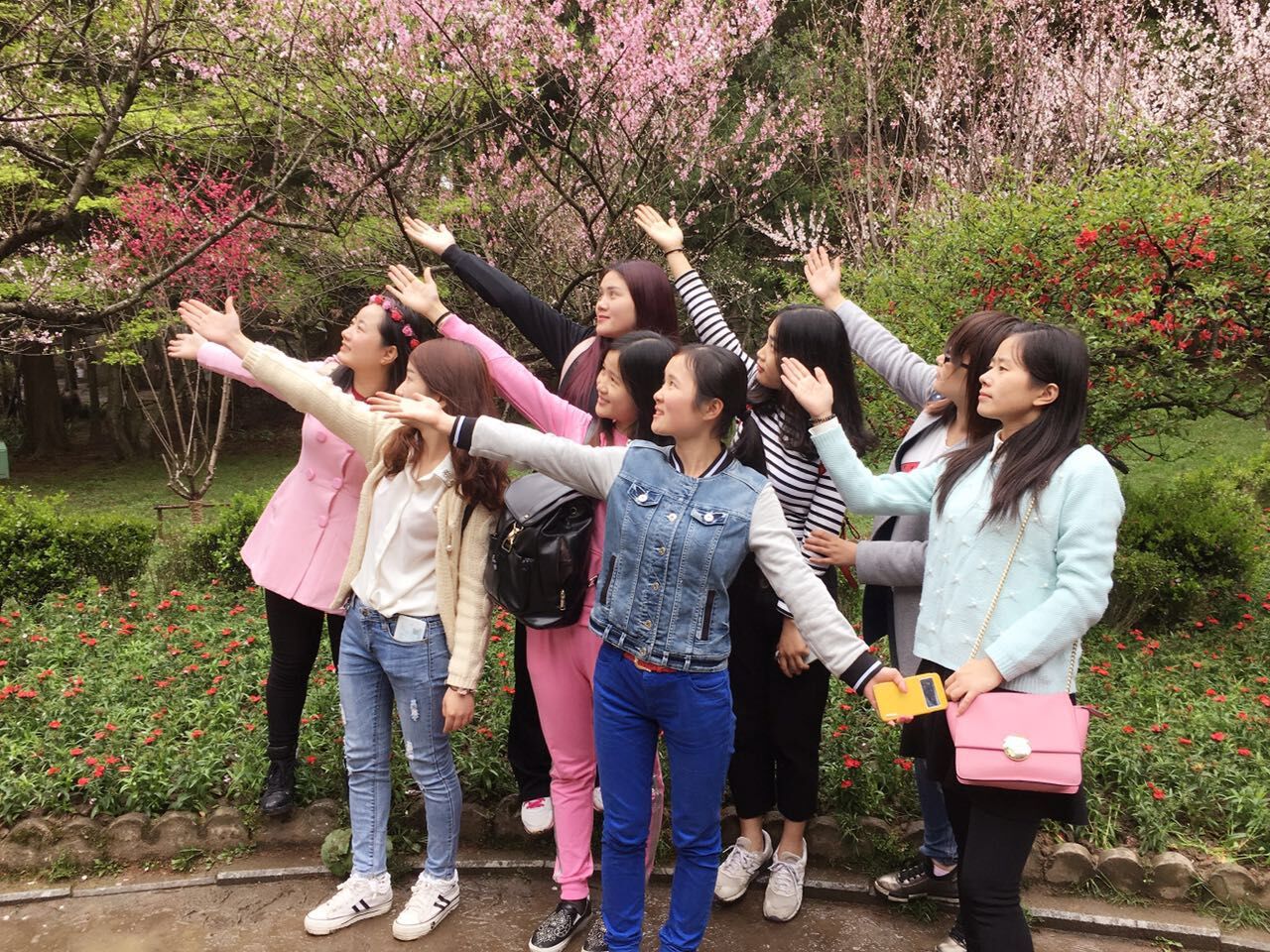 保定物聯網卡平臺之搜浪團隊廬山游活動